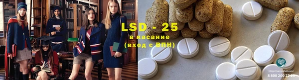 стафф Вязьма