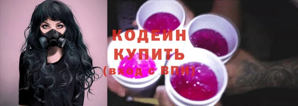 стафф Вязьма