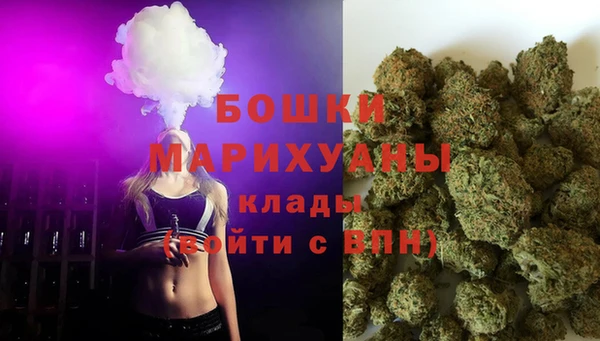 стафф Вязьма
