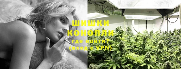 стафф Вязьма