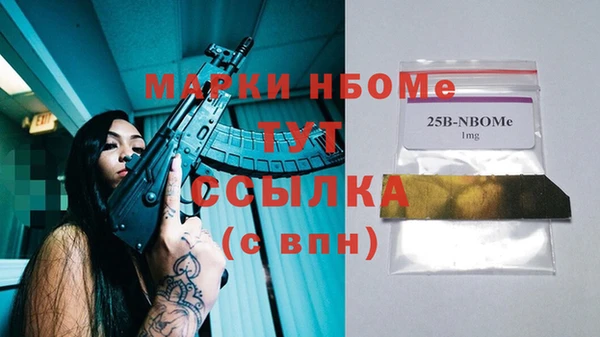 стафф Вязьма