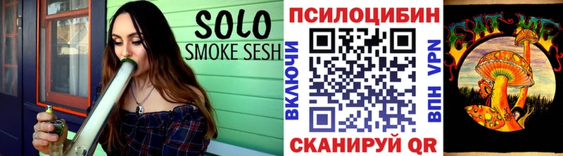 Галлюциногенные грибы Psilocybine cubensis  купить закладку  Елизово 