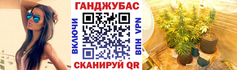 Каннабис марихуана  ссылка на мегу ссылка  Елизово  где найти наркотики 